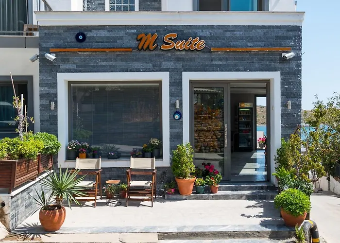 M Suite